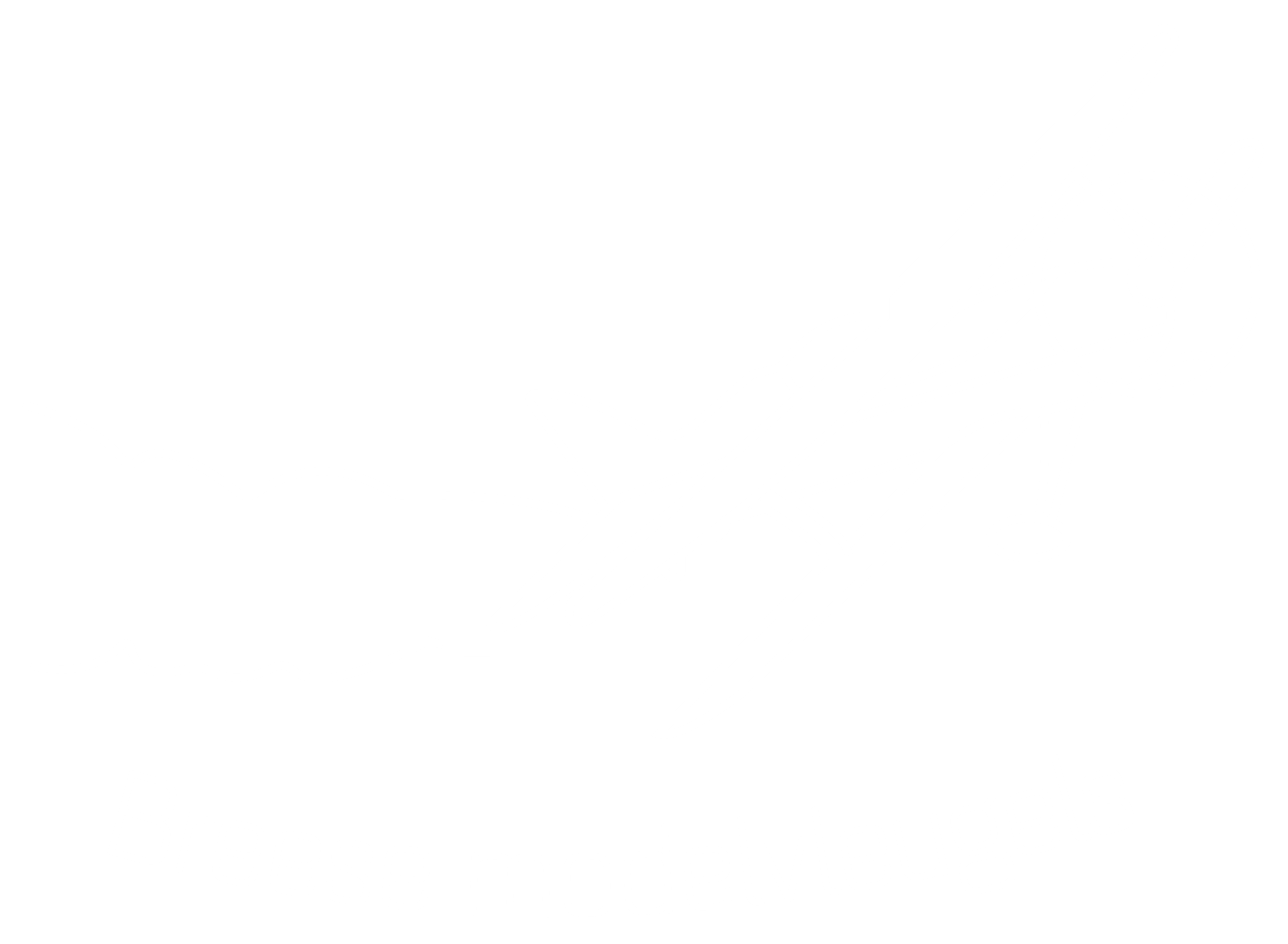 Volledig Pitts Special-logo van Breese Modelvleugels